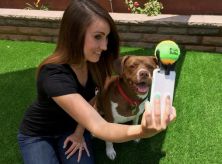 truco para selfie con perros.jpg